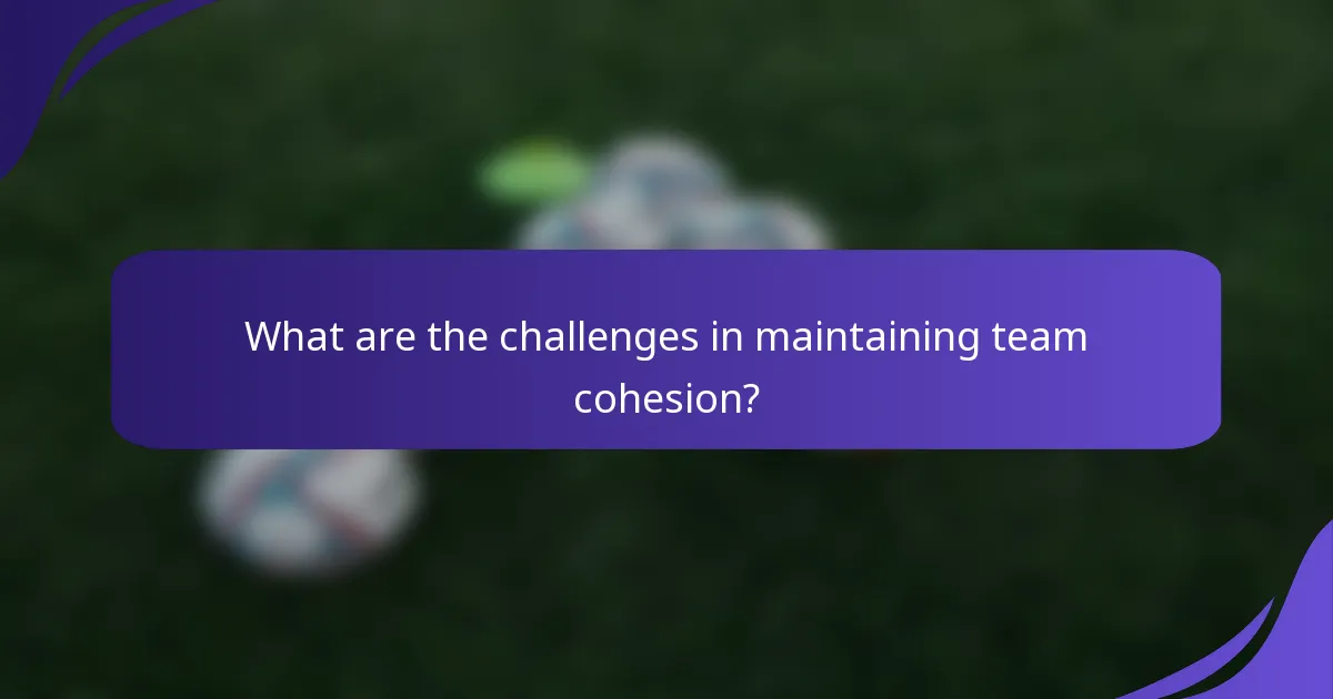 What are the challenges in maintaining team cohesion?