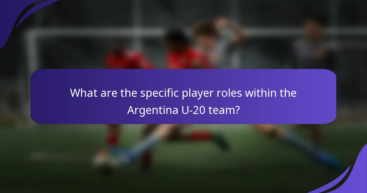 What are the specific player roles within the Argentina U-20 team?