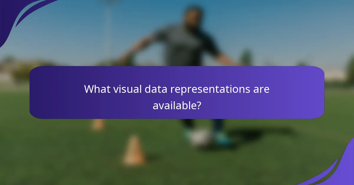 What visual data representations are available?
